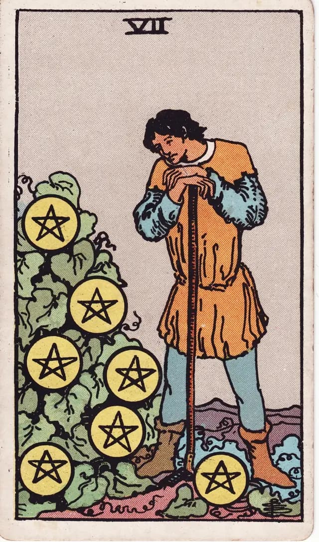 Seven of Pentacles in the Rider-Waite-Smith deck, upright
