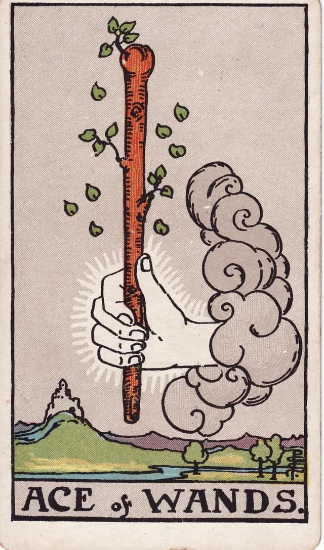 Ace of Wands in the Rider-Waite-Smith deck, upright